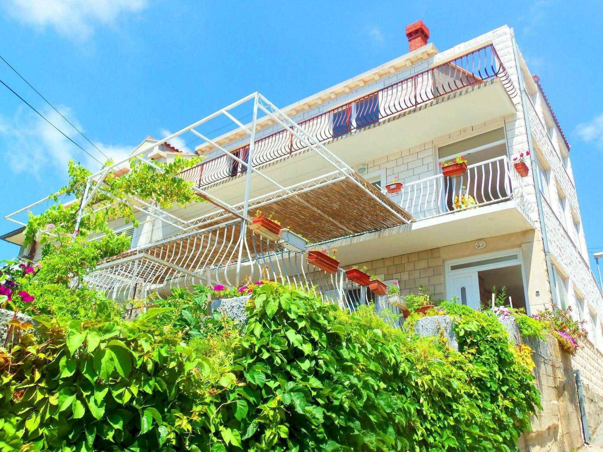 Guest House Kate Mlini Ngoại thất bức ảnh